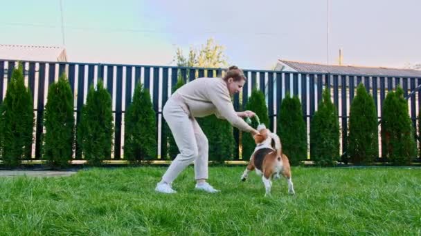 Mädchen spielt mit seinem Hund Beagle im Freien. Er streichelt und neckt seinen Welpen mit seinem Lieblingsspielzeug. Zeitlupe — Stockvideo