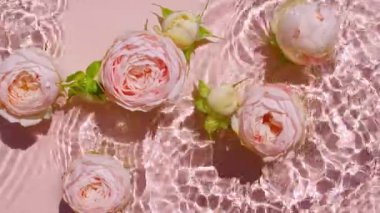 Su yüzeyinde pembe gül çiçekleri ve düşen su damlaları, pembe arka planda dalgalar. Su pembe renkte sıçrıyor. Güneş ışığı ve gölgeli saf su. Sevgililer Günü dokusu.
