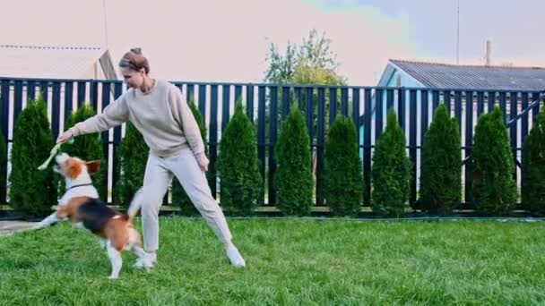 Flicka leker med sin hund beagle utomhus. Han retas med sin valp med sin favoritleksak. Långsamma rörelser — Stockvideo