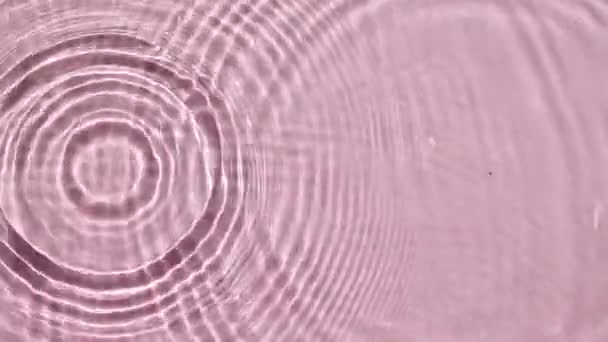 Top view slow motion of drop falls into water and diverging circles of water on pink background. Water drop splash blue colored. Clear water with reflections, refraction sunlight.4k — Stock Video