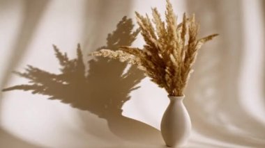 Kurumuş altın çiçekler vazoda. Spikelets 'in rüzgardaki hareketi. Gün ışığı yumuşak ışık ve şeffaf perdeden gelen gölgeler, tül. Mesaj için yer var. 4k