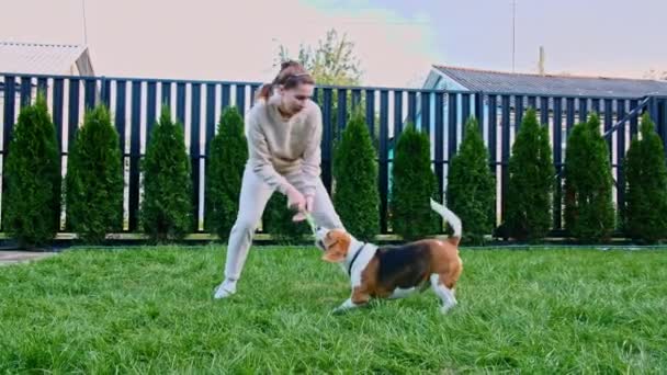 A lány kint játszik a kutyájával. Megsimogatja és piszkálja a kiskutyáját a kedvenc játékával. Lassú mozgás — Stock videók