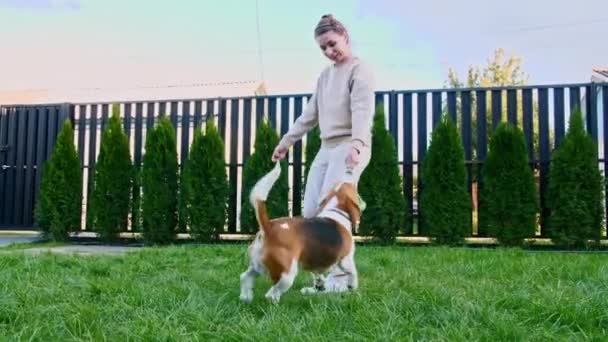 Meisje spelen met zijn hond beagle buiten. Hij huisdieren en plaagt zijn puppy met zijn favoriete speelgoed. Langzame beweging — Stockvideo