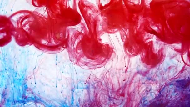 Encre de couleur dans l'eau sur fond blanc. Gouttes de peinture mélangées dans de l'eau, encre tourbillonnant sous l'eau. Nuage coloré explosion de fumée abstraite. Mélange de couleurs abstrait. Macro shot. — Video