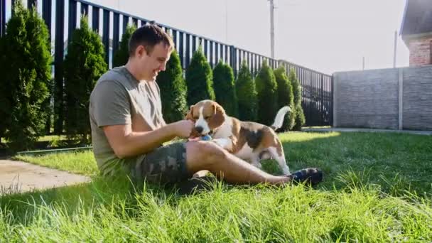 Man speelt met zijn beagle dog buiten en trakteert haar huisdier met een traktatie. Plaagt zijn puppy met zijn favoriete speelgoed. — Stockvideo