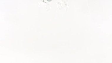 Büyük hava kabarcıklarının beyaz zemin üzerinde yükselen makro çekimi. Yavaş çekim