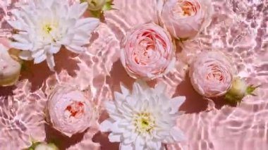 Su yüzeyinde pembe gül çiçekleri ve düşen su damlaları, pembe arka planda dalgalar. Su pembe renkte sıçrıyor. Güneş ışığı ve gölgeli saf su. Sevgililer Günü dokusu.