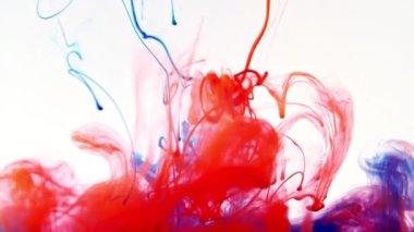 Beyaz arka planda suda renkli mürekkep. Suya karışan boya damlaları, suyun altında dönen mürekkep. Renkli bulut soyut duman patlaması. Soyut renk karışımı. Makro çekim.