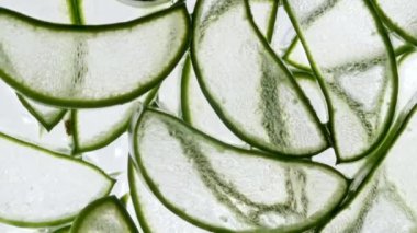 Beyaz arka planda dönen aloe vera parçaları. Meyve suyu aloe vera 'sının hareketi. Doğal tıbbi bitki. Organik kozmetik, alternatif tıp. Makro atış. Ağır çekim. Üst görünüm.