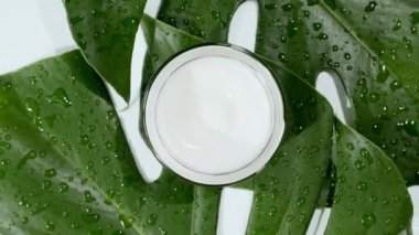 Beyaz Kozmetik Kremi. Arka planda tropikal yapraklar olan Monstera. Macro Shot. Güzellik, sağlık ve cilt bakımı kavramı. Doğal, organik kozmetik. Üst görünüm.