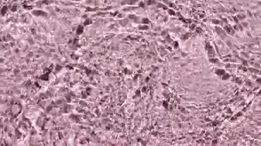 Su yüzeyi üst görünümü. Su pembe renkte sıçrıyor. Saf mavi su, güneş ışığını yavaş çekimde yansıtıyor. Güneş ve gölgeler. Hareket temiz yüzme havuzu dalgalanmaları ve el sallama. 4k