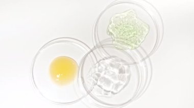 Beyaz arka planda kozmetik numuneleriyle Petri kaplarının rotasyonu. Şeffaf jel sıvısı, köpüklü krema. Kimyasal laboratuvar araştırması. Doğal Organik Kozmetik, İlaç.