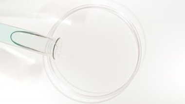 Test tüpünden şeffaf Mavi Sıvı Yağı Petri Tabaklarına dökülüyor. Kimyasal Laboratuar Araştırması. Doğal Organik Kozmetik, Tıp. Doğal Kozmetik Yapımı. Yakın plan. Yüksek kalite 4k 