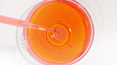 Petri Tabakları 'na damlayan Pipette' ten gelen şeffaf kırmızı sıvı yağı. Kimyasal Laboratuar Araştırması. Doğal Organik Kozmetik, Tıp. Doğal Kozmetik Yapımı. Yakın plan. 4k