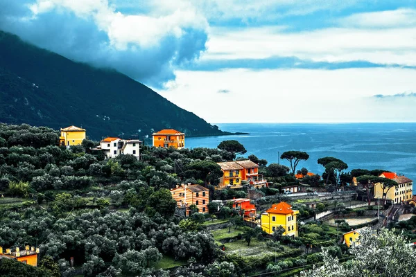 Renkli Evleri Olan Paradiso Körfezi Tepeleri Panoraması Genova Liguria Talya — Stok fotoğraf