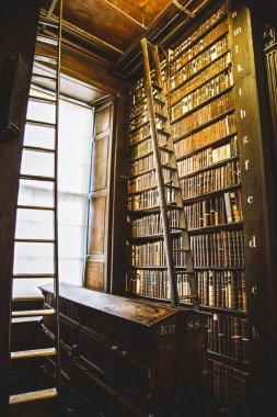 Dublin, İrlanda - 30 Ekim 2019: İrlanda Trinity Üniversitesi kampüsündeki Kells Kitabı 'nın prestijli akademik kütüphanesinde kitaplarla dolu antik bir rafın perspektifi