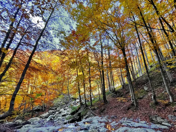 意大利托斯卡纳阿彭尼诺秋天的登山小径 — 图库照片
