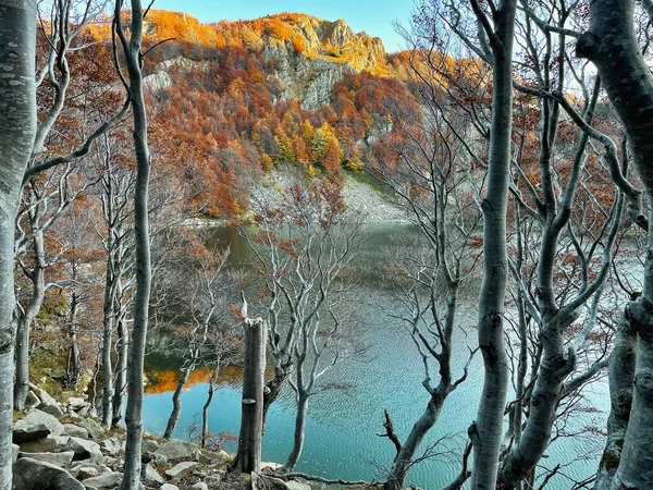 Бук Осенняя Листва Лесу Отражением Озера Закате Италия — стоковое фото