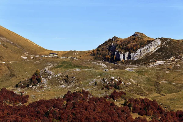 Туристическая Тропа Sudtirol Malga Осенней Листве Трентино Италия Тренто — стоковое фото