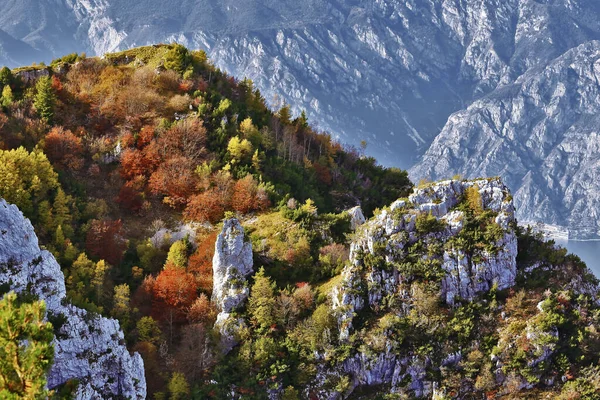 Turistická Stezka Ventrar Podzimní Listí Garda Lake Trentino Itálie — Stock fotografie