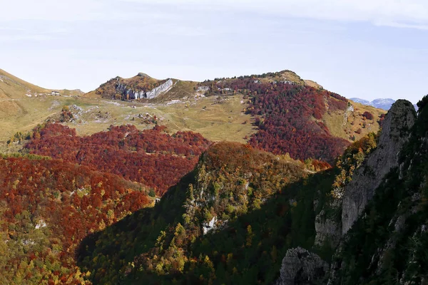 Судтирол Мальга Туристическая Тропа Осенней Листве Трентино Тренто Италия — стоковое фото