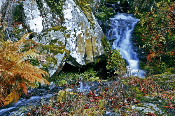 秋天的山河流量 — 图库照片