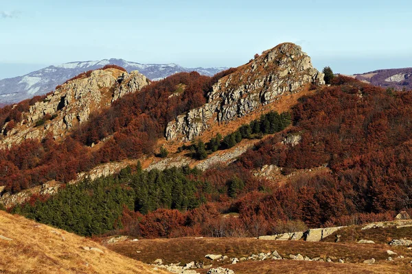 Скалы Осенняя Листва Итальянские Горы Аппеннино — стоковое фото