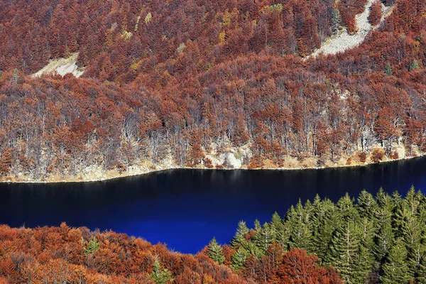 Bergsee Herbstlichen Laub Des Waldes Apennino Nationalpark Italien — Stockfoto