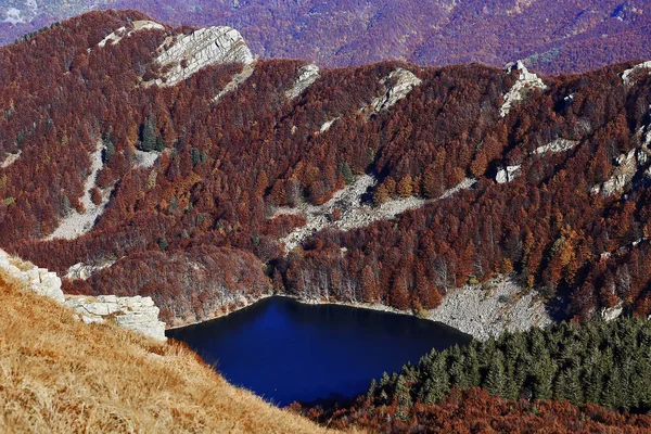 Horské Jezero Podzimním Lesním Porostu Letecký Panoramatický Výhled Itálie — Stock fotografie