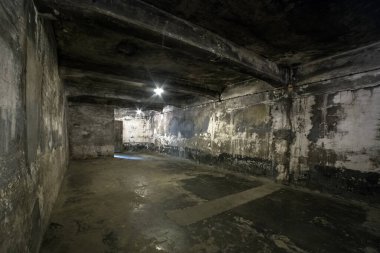 Yahudi Gaz İnfaz Odası, Auschwitz Birkenau Toplama Kampı