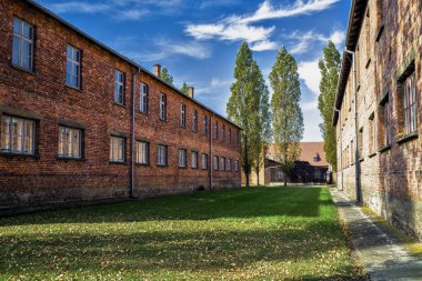 Tuğla ev avlusu, Auschwitz Birkenau Toplama Kampı, Polonya