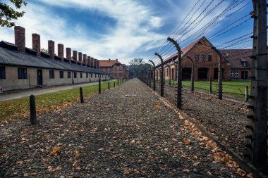 Elektrikli çit avlusu, Auschwitz Birkenau Toplama Kampı Polonya
