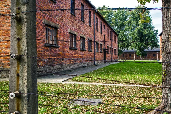 Ημέρα Μνήμης Στρατόπεδο Συγκέντρωσης Του Άουσβιτς Μπιρκενάου Πολωνία — Φωτογραφία Αρχείου