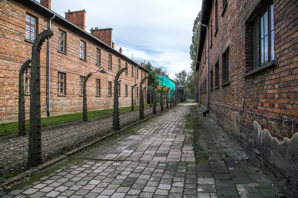 Ogrodzenie Wysokiego Napięcia Więźnia Obóz Koncentracyjny Auschwitz Birkenau — Zdjęcie stockowe