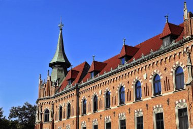Wawel Katedrali, kilise kulesi ve kale, Krakow, Polonya