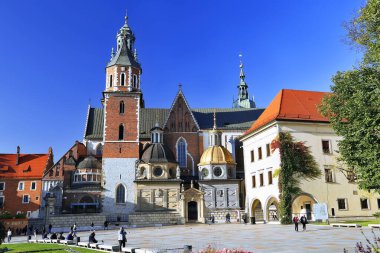 Wawel Katedrali ve kilise kulesi ve dış bahçe, Krakow, Polonya