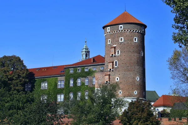 Wawel Castle Fortress External Wall Tower Ivy Poland Krakow — Stock Photo, Image