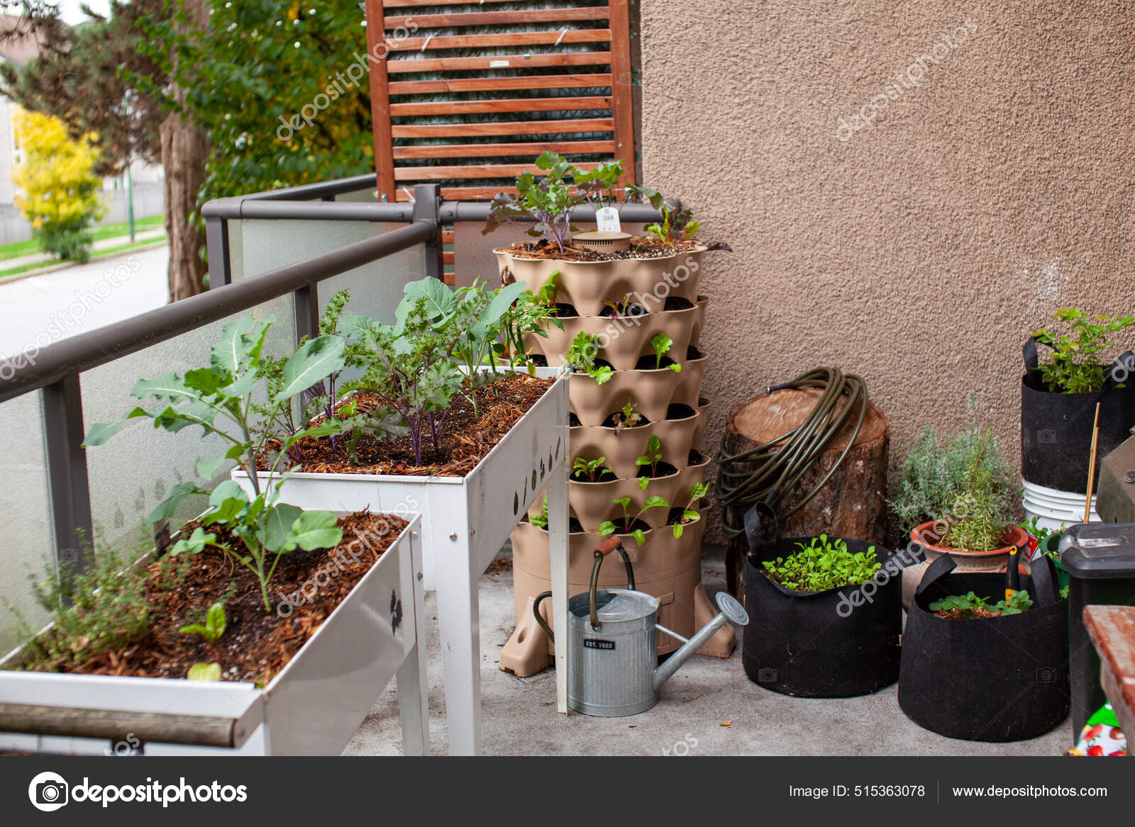 Vertical Garden Sits Apartment Balcony Patio Other Standing Planters  Containers — Stock Photo © burns.ashleybelle #515363078, image size:1600x1167