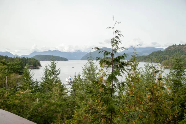 Beautiful View Looking Out West Coast Wilderness Lodge Edmont British — Stock Photo, Image