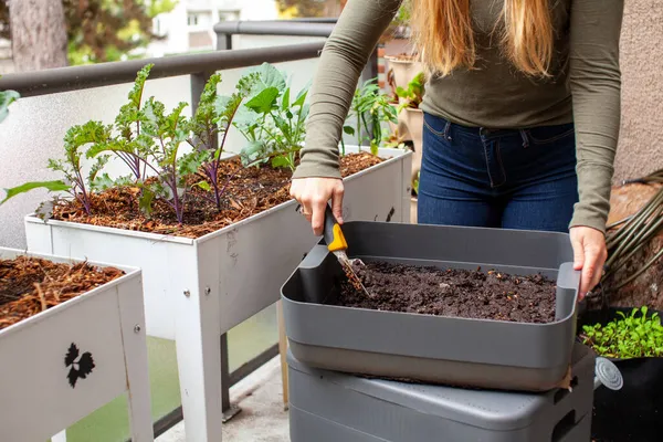 Kobiety Zbierają Świeże Odlewy Robaków Kompost Vermicomposter Balkonie Jej Podniesiony — Zdjęcie stockowe