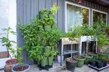 Growing in vertical towers is perfect for small spaces. They make the most out of any spot, and enable you to grow anything! This tower is filled with herbs and is close to the kitchen for easy access