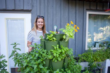 Growing in vertical towers is perfect for small spaces. This tower is filled with herbs and is close to the kitchen for easy access. A young woman is watering from the reservoir on top. 