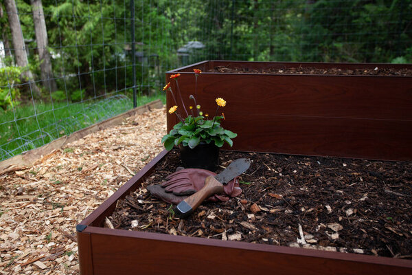 Planting flowers into a raised garden bed with the help of a Hori Hori, a Japanese garden tool that can be used throughout the garden for cultivating.