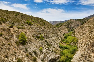 Xixona 'dan El Tuz deresi, yemyeşil bitki örtüsü ve güzel bir su kabuğu olan küçük bir su öküzü ile kaplanmış. İspanya, Alicante vilayeti. Horiozontal görüş.