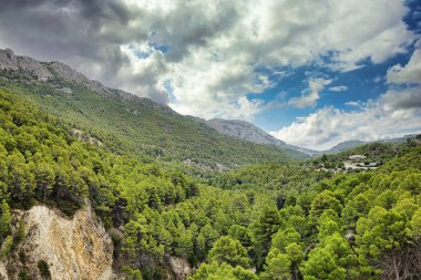Guadalesta çevresindeki ormanlı dağların manzarası..