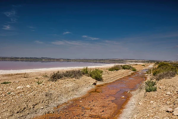 Krásná Krajina Výhledem Slané Jezero Růžovou Vodou Torrevieja Španělsko Alicante — Stock fotografie