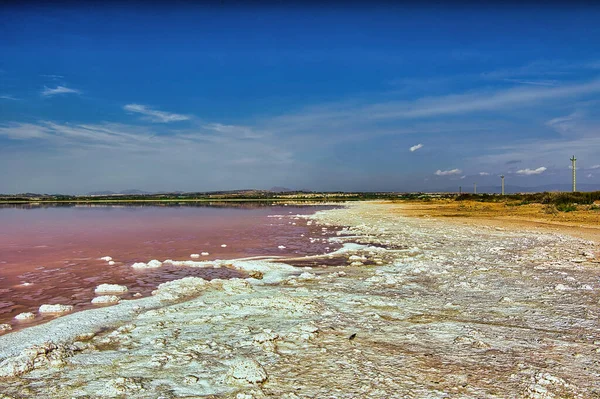 Krajina Výhledem Slané Jezero Růžovou Vodou Městě Torrevieja Březích Bylo — Stock fotografie
