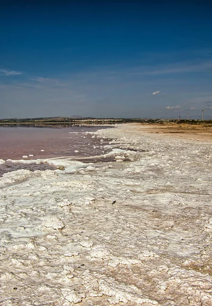 Pobřeží Růžového Jezera Torrevieja Pokrytého Velkým Množstvím Soli Nachází Vodách — Stock fotografie