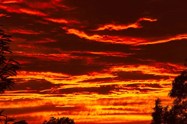 Καλοκαιρινό Ηλιοβασίλεμα Κόκκινες Πύρινες Αποχρώσεις Καλοκαίρι Σκούρες Σιλουέτες Δέντρων — Φωτογραφία Αρχείου
