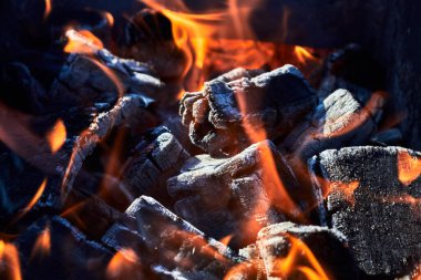 Açık havada yemek pişirmek için kamp ateşinde kömür yakıyorum..